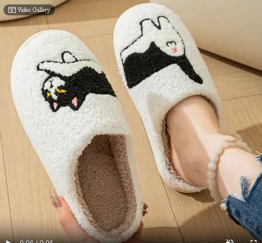 Cat Slippers